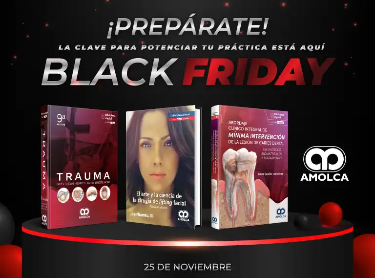 Expectativa Black Friday 2024