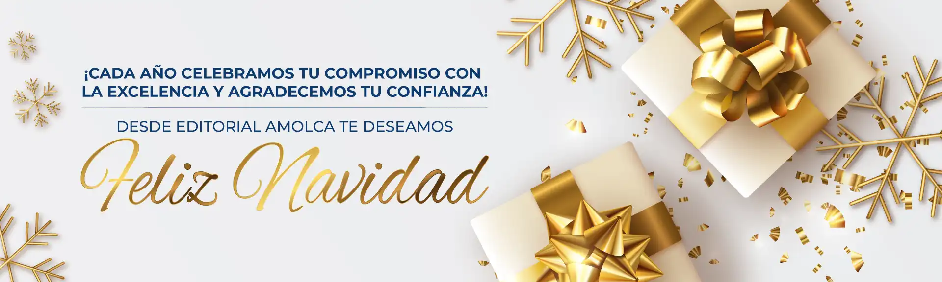 Navidad casa matriz