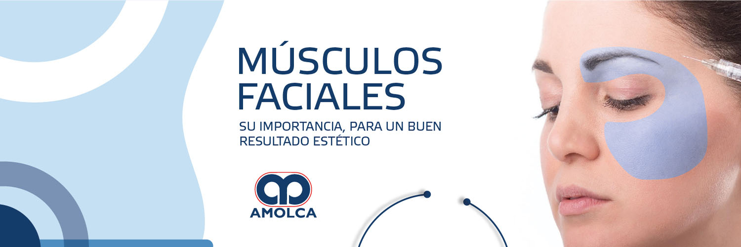 Músculos faciales y su importancia, para un buen resultado estético Músculos faciales y su importancia, para un buen resultado estético
