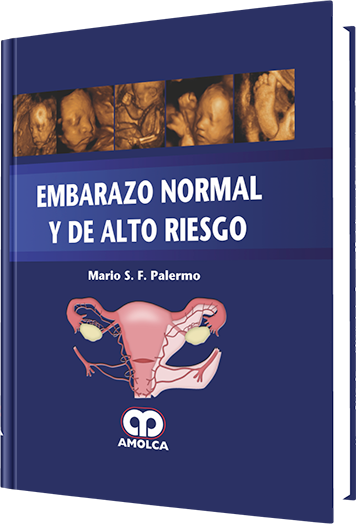 Embarazo Normal y de Alto Riesgo