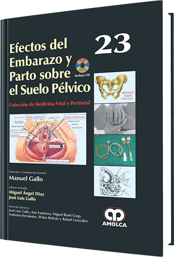 Efectos del Embarazo y Parto Sobre el Suelo Pélvico. Volumen 23