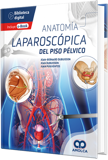 Anatomía laparoscópica del piso pélvico